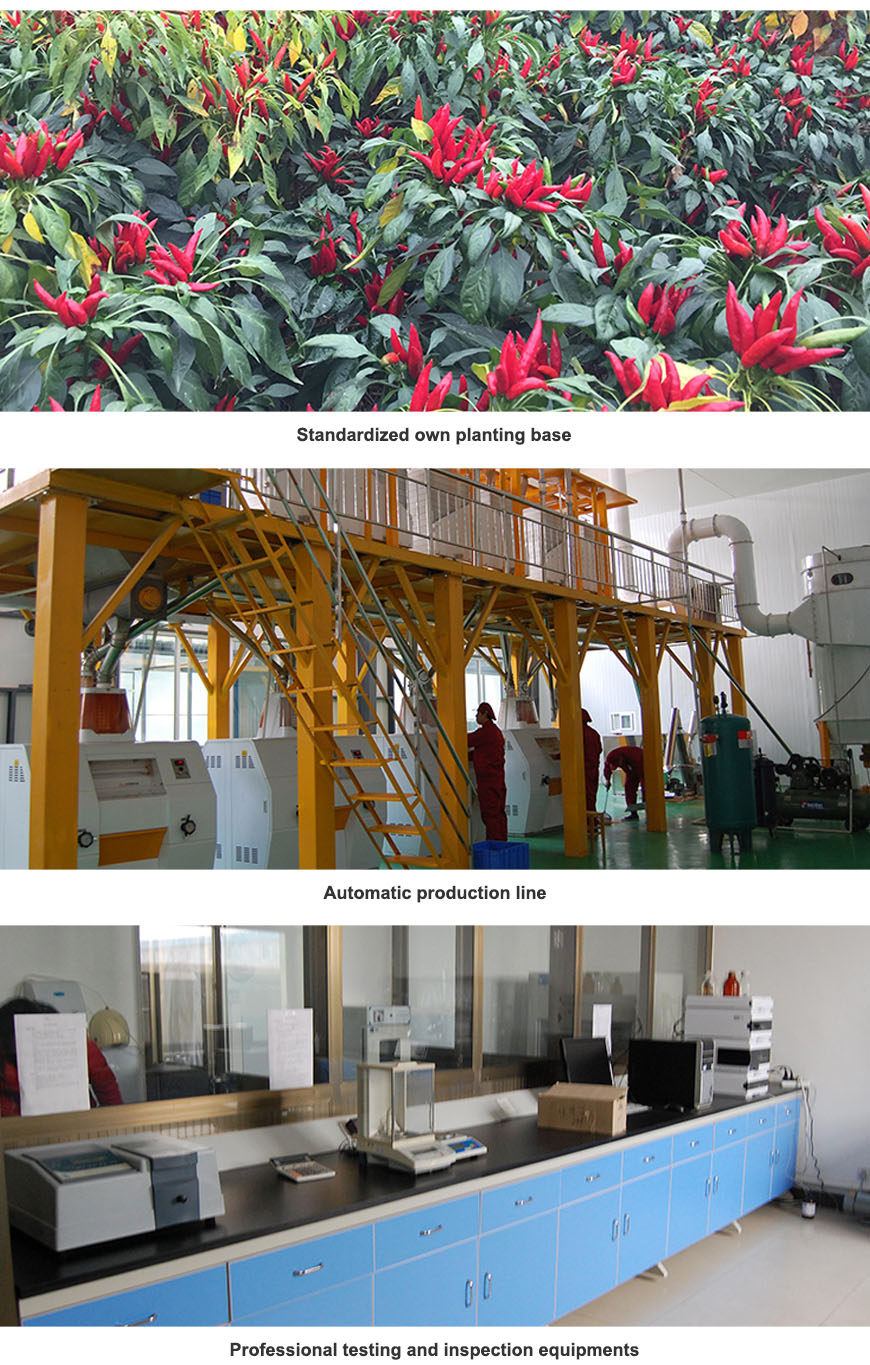 chili seed oil factory Read More About chili seed oil factory