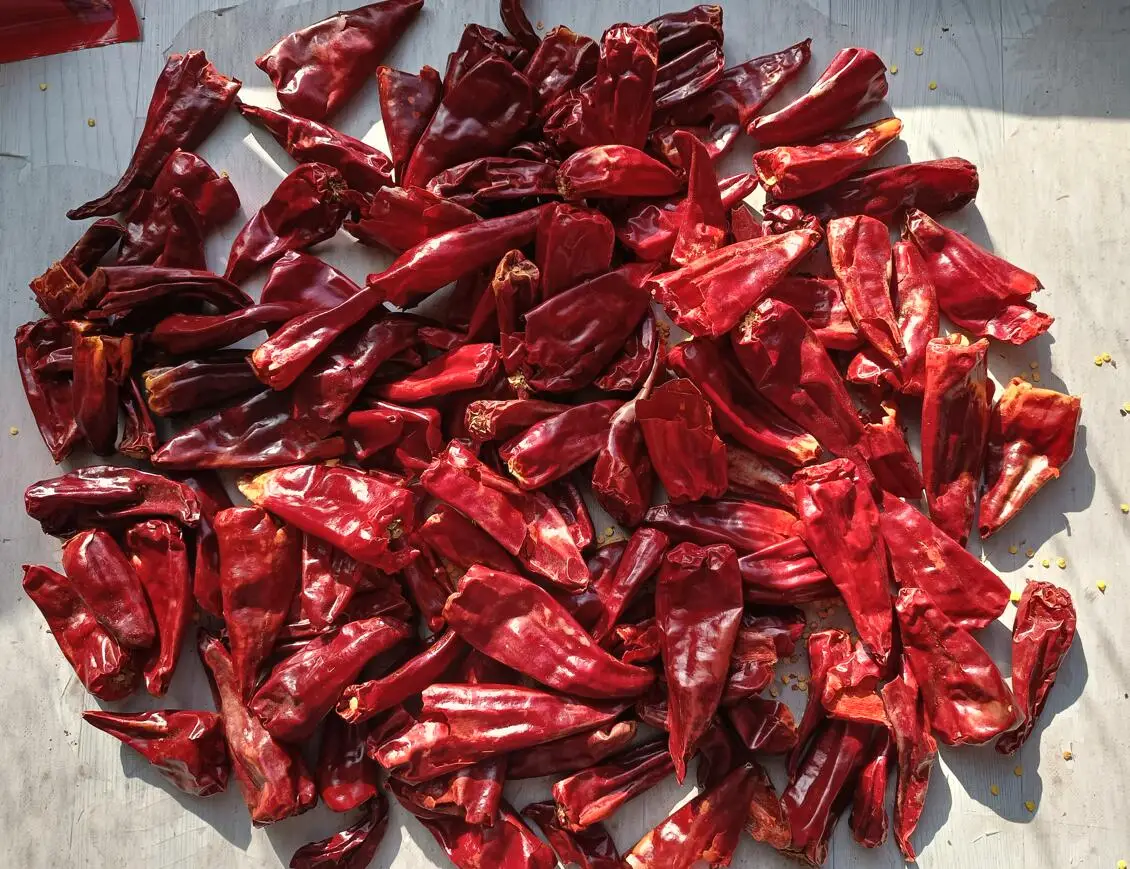 dried hot chili Read More About dried hot chili