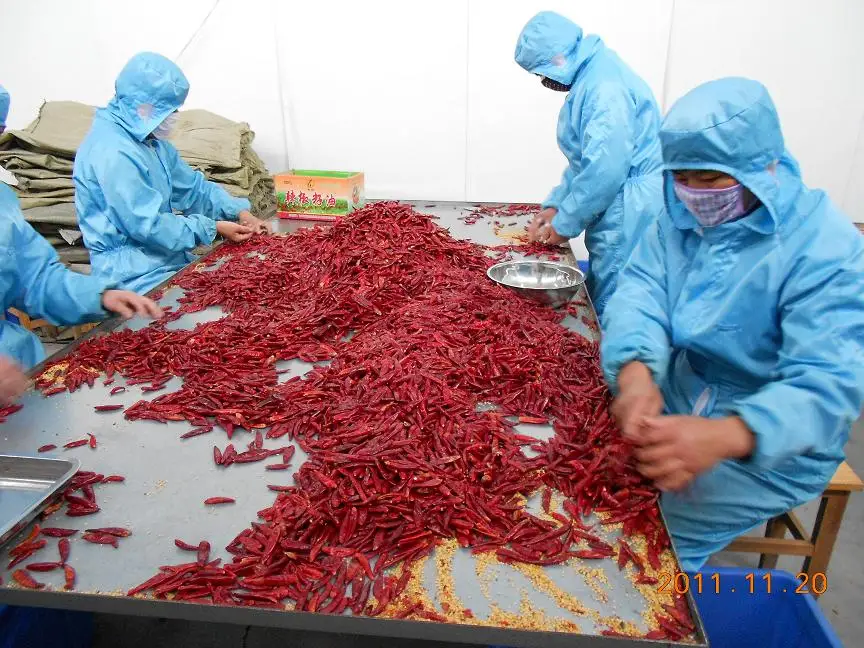 bulk dried chili peppers Read More About bulk dried chili peppers