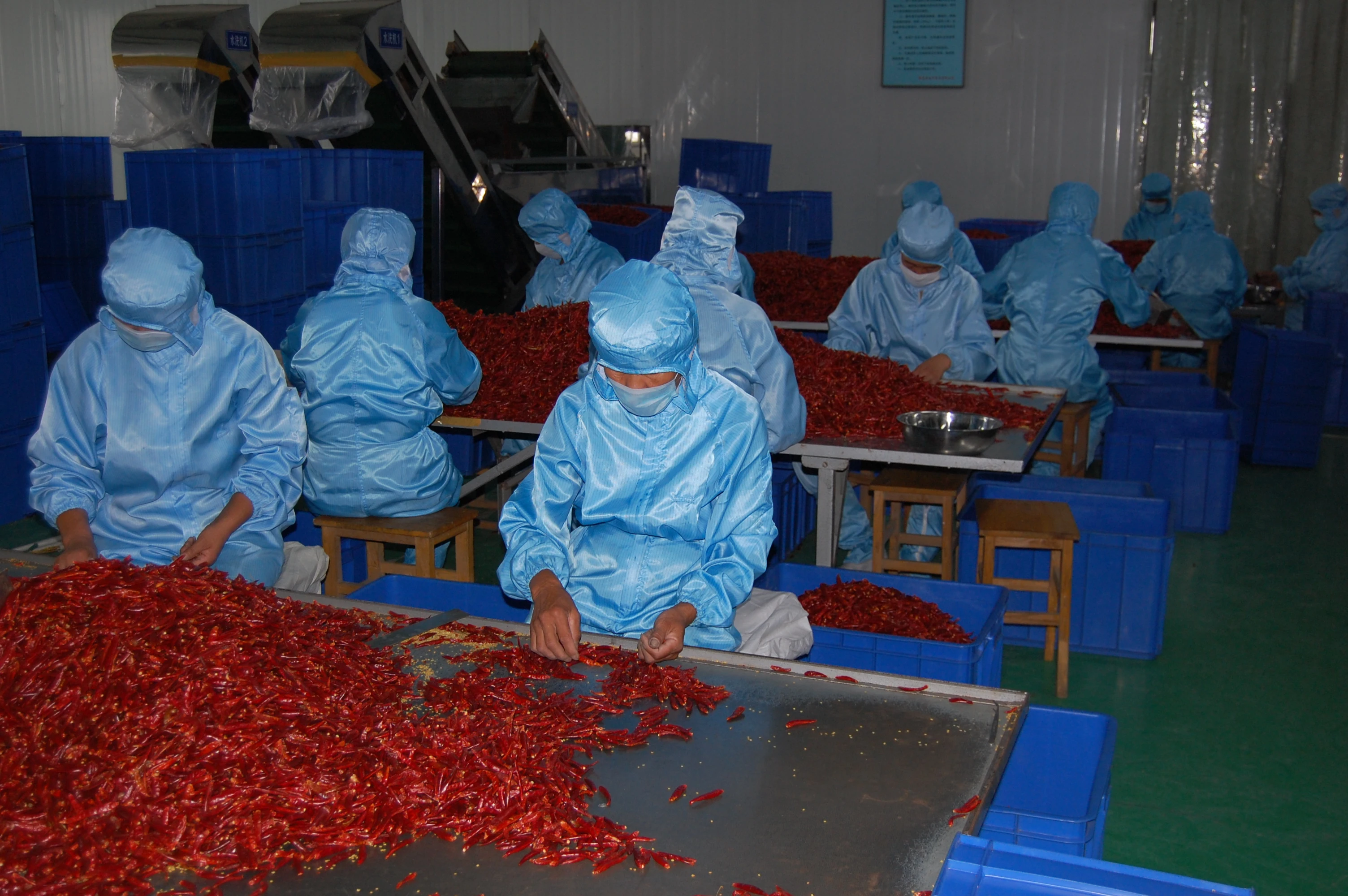 dried chilli pepper Read More About dried chilli pepper