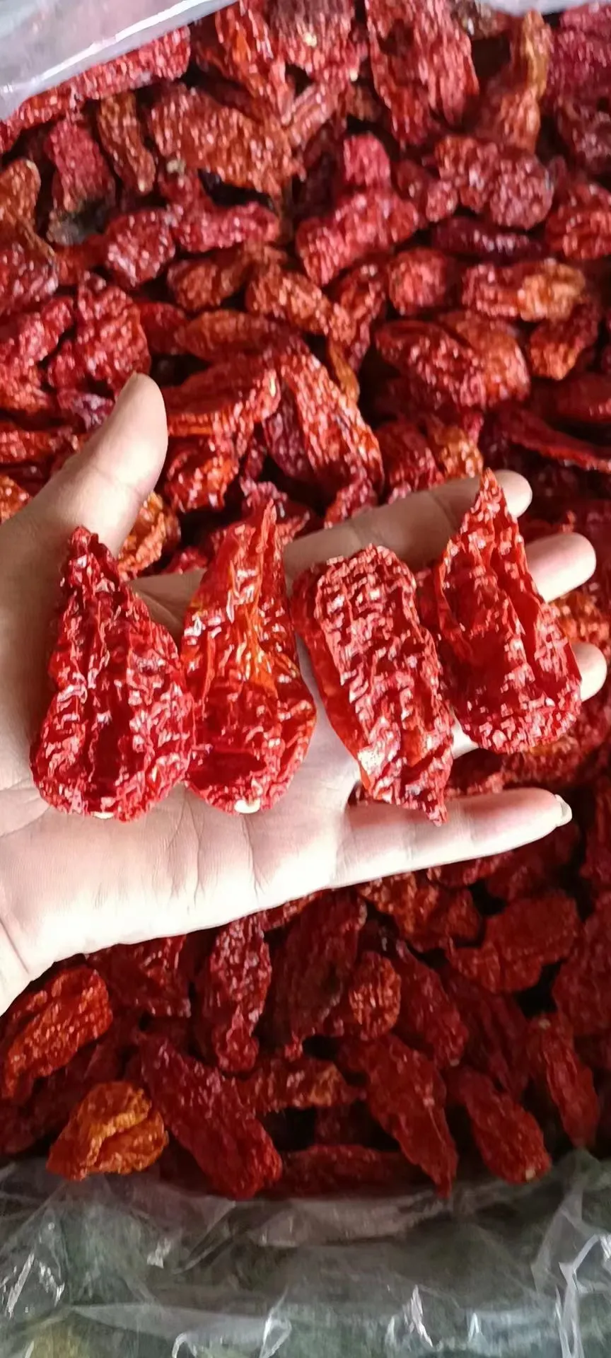 Ghost Chili Powder-Longyao County Xuri Food Co.,Ltd.|High Heat & ISO Certified