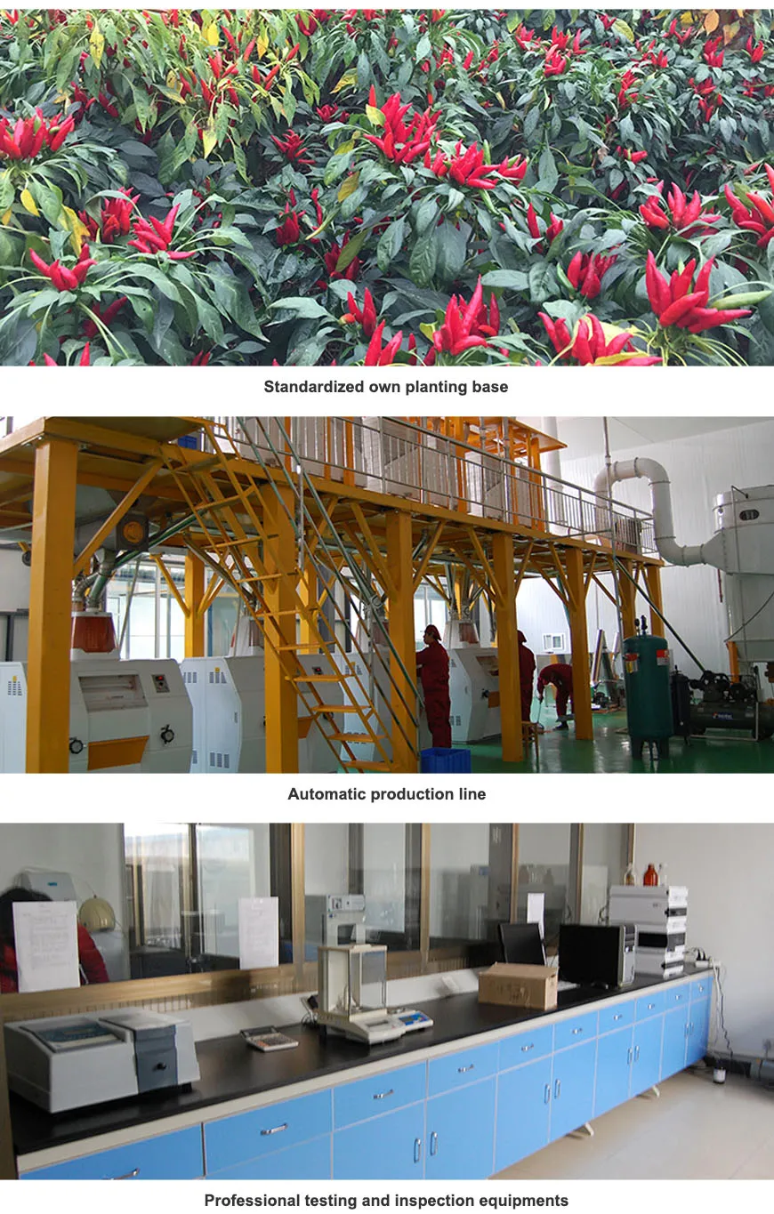 Ghost Chili Powder: Unmatched Heat & Quality | LONGYAO COUNTY XURI FOOD CO.,LTD.