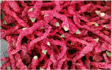 Judgment of pepper quality: spiciness, color, oiliness, nutrition, yield Judgment of pepper quality: spiciness, color, oiliness, nutrition, yield