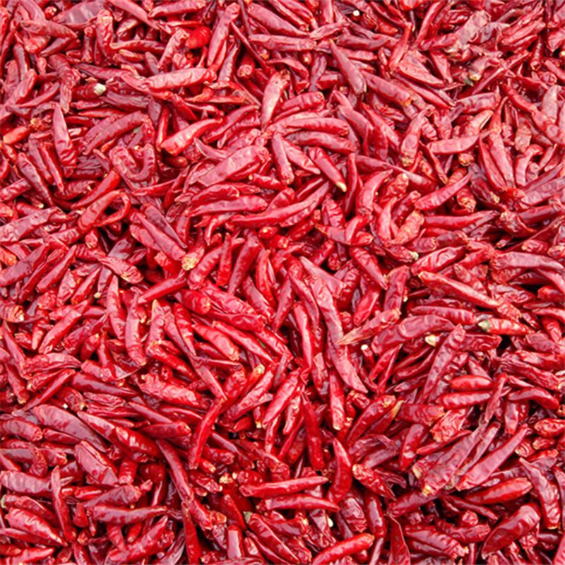 Premium Dried Chili Pods: Authentic Flavor & Heat
