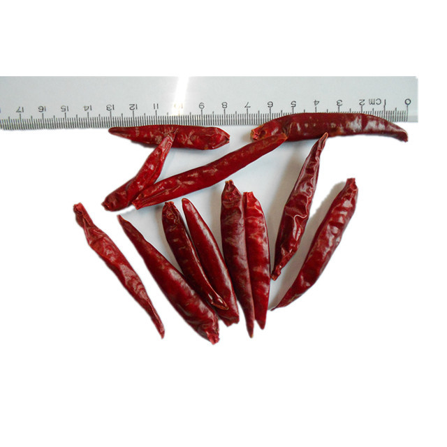 Premium Dried Chipotle Pepper: Smoky, Spicy Flavor