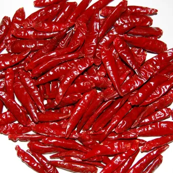 The Culinary Delight of Red Pepper Dried