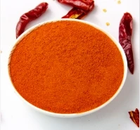 The Flavorful World of Paprika Chilli Powder