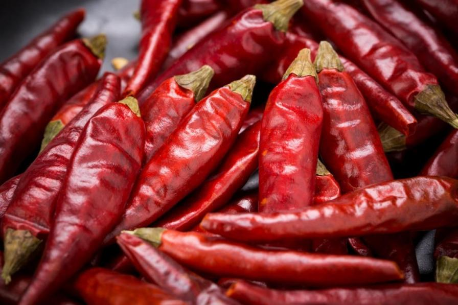 The origin of chili peppers The origin of chili peppers