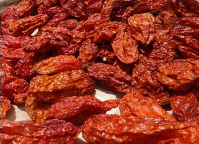 The origin of chili peppers The origin of chili peppers