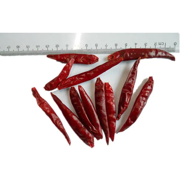 The Spicy Delight of Red Pepper Pods The Spicy Delight of Red Pepper Pods